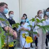 Emoção e homenagens marcam reunião do Grupo de Humanização da Santa Casa de Santos